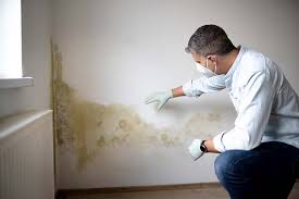 Best Air Quality Testing for Mold Spores  in Perry Hall, MD